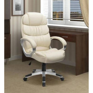Director Leatherette Office Executive Chair White Vassio
