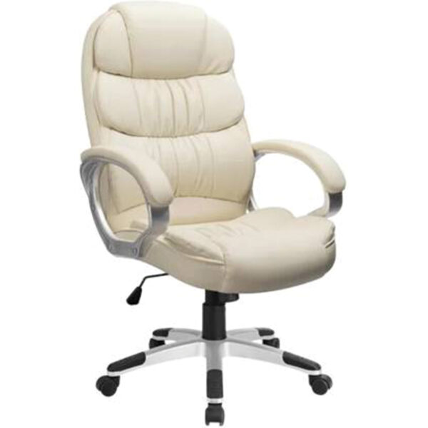 Director Leatherette Office Executive Chair White - Vassio