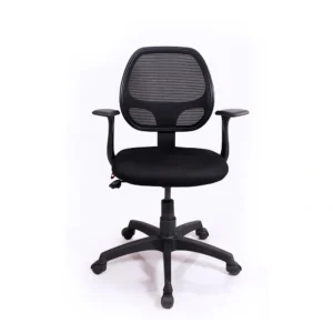 Teensy Stylish and Affordable Arm Rest Chair | Vassio