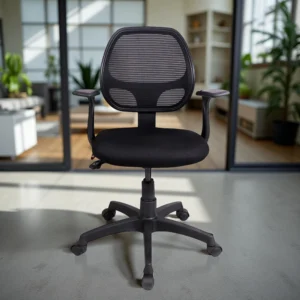Teensy Stylish and Affordable Arm Rest Chair | Vassio