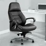 Altaro Director Chair Black - Vassio