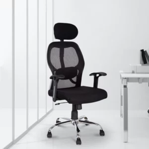 Ergonomic Chair High Back Black Colour Vassio