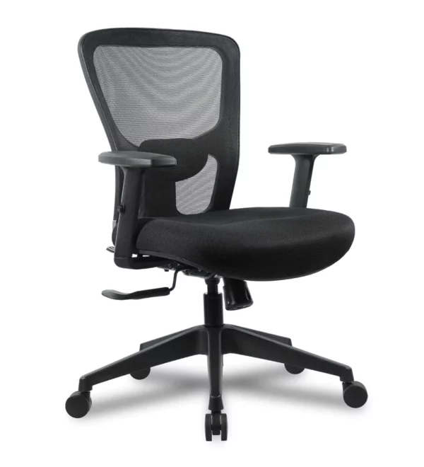 Office Chair With Adjustable Back Ergonomic Chair » Vassio