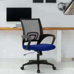 Blue Back Executive Office Chair » Vassio