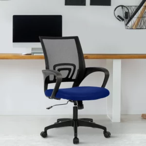 Blue Back Executive Office Chair Vassio