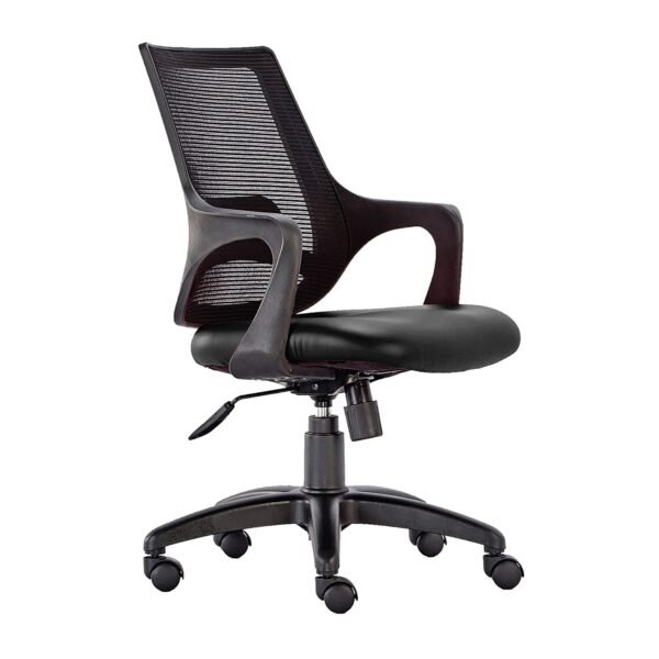 Mesh Ergonomic Office Computer Chair Vassio