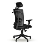 Ergonomic Study Chair With Comfortable Headrest » Vassio