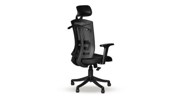 Ergonomic Study Chair With Comfortable Headrest » Vassio