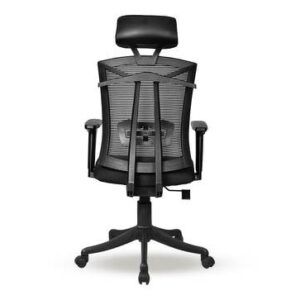 Ergonomic Study Chair With Comfortable Headrest » Vassio