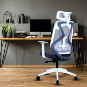 High Back Ergonomic Mesh Chair for Office Work Vassio