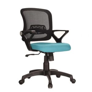 Vassio Medium Back Ergonomic Mesh Chair » Vassio