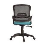 Vassio Medium Back Ergonomic Mesh Chair » Vassio