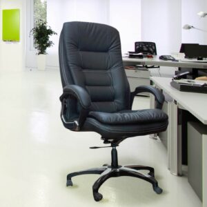 Executive Leatherette Chair in Black -Vassio