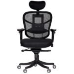 Shop Online High Back Chair Ergonoimc Premium Black Vassio