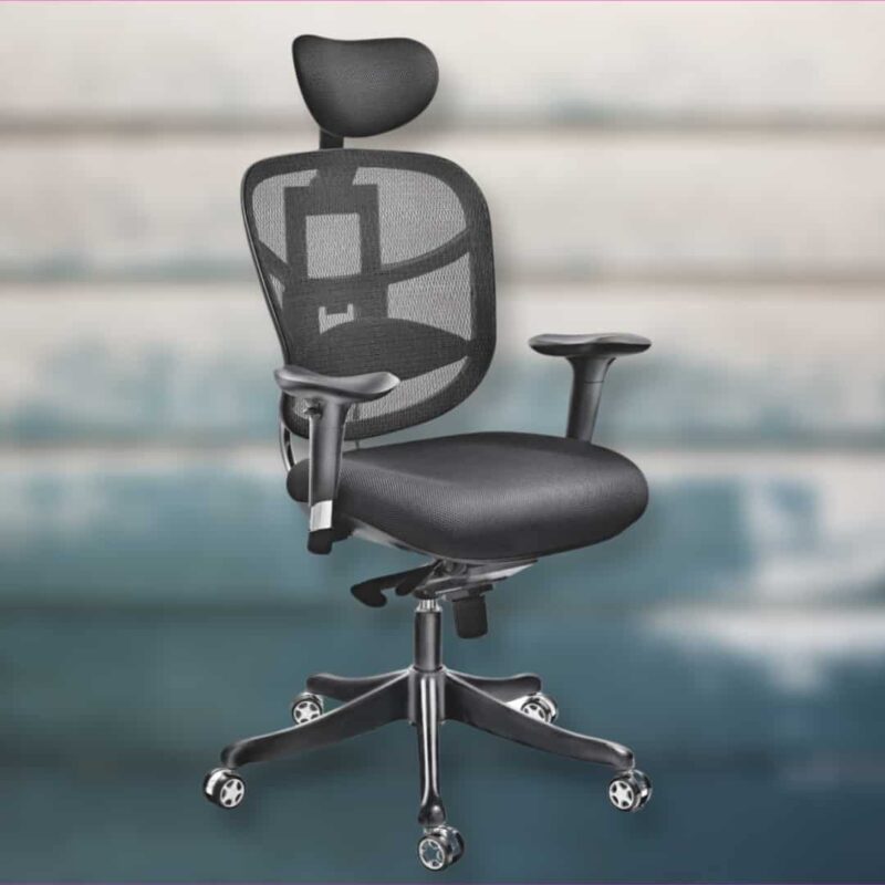 Ergonomic Premium High Back Chair - Black
