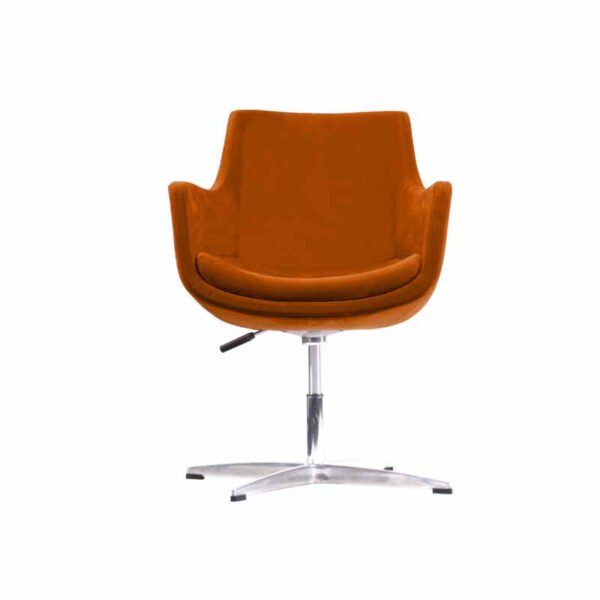 Leisurely Lounge Chair