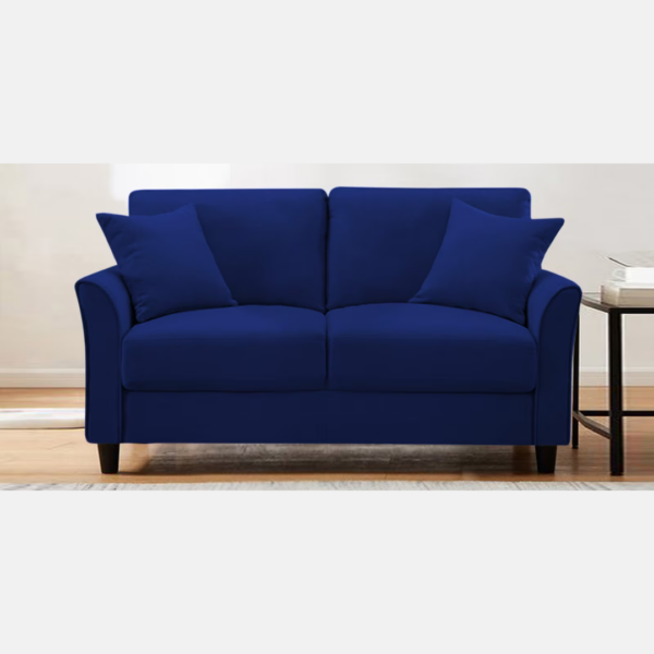 Plush Velvet 2 Seater Sofa Blue