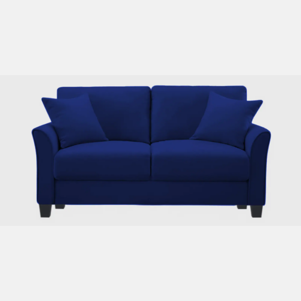 Plush Velvet 2 Seater Sofa Blue