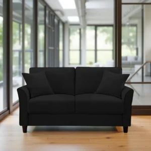Plush Velvet 2 Seater Sofa Black by Vassio