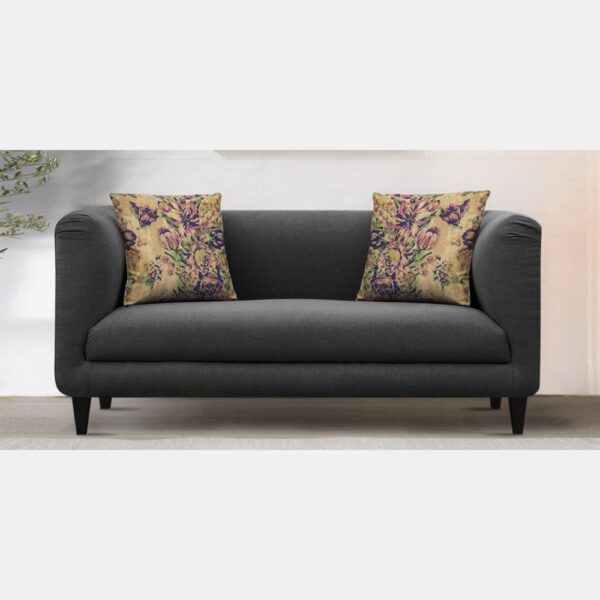 Cozy Two Seater Living Room Sofa