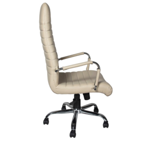 Sleek Chair Beige
