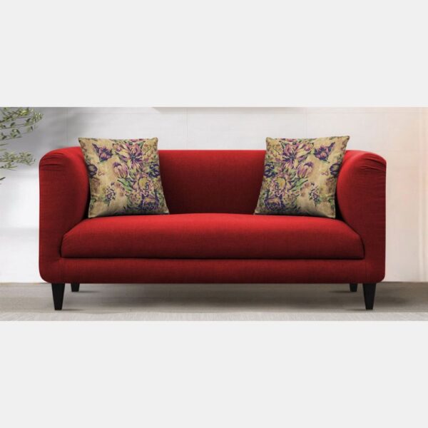 Cozy Two Seater Living Room Sofa