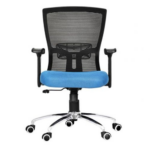 Ergonomic Chair for Office With Blue Seat