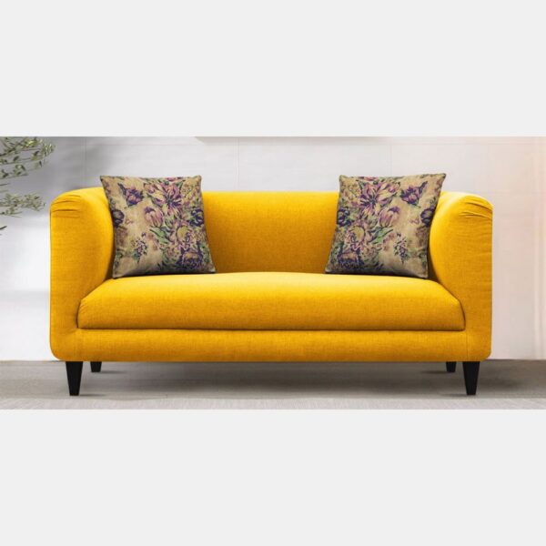 Cozy Two Seater Living Room Sofa