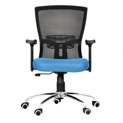 Ergonomic Chair for Office With Blue Seat