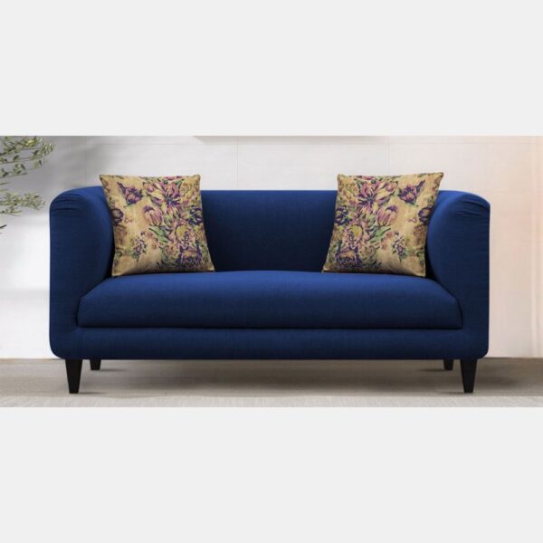Cozy Two Seater Living Room Sofa