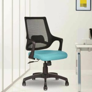 Office Chair Mesh Black-Aqua Green