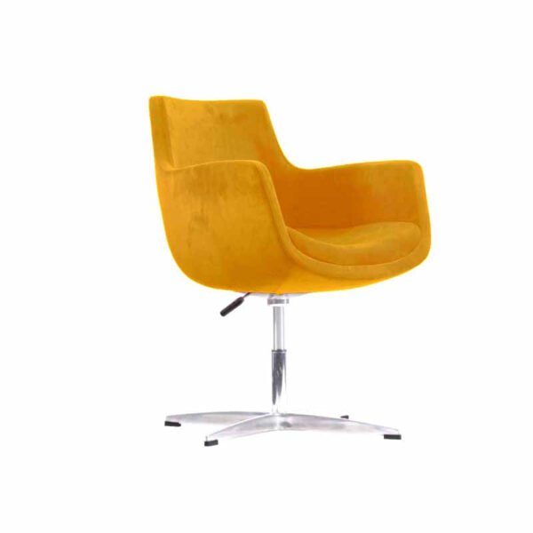 Leisurely Lounge Chair