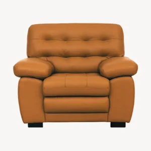 Shop Online Vassio Comfy Single Seater Sofa – Comfort in Style