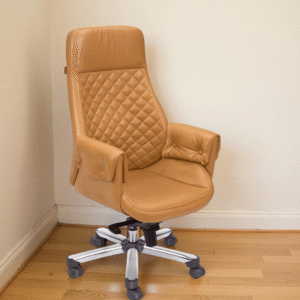 Shop the Vassio Arisa Director Chair premium high back executive chair in tan leatherette. Ergonomic,durable, with knee tilt mechanism & 2-year warranty.