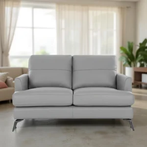 Arina 2 Seater Leatherette Sofa Pestel Grey with Metal Legs by Vassio – Modern Sofa for Living Room India