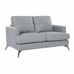 Arina 2 Seater Leatherette Sofa Pestel Grey with Metal Legs by Vassio – Modern Sofa for Living Room India