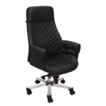 Arisa Boss Chair Black | Premium High Back Chair for Director