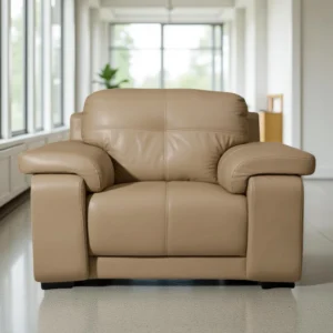 Celista 1 Seater Sofa in Beige Leatherette by Vassio – Made in India, Elegant, and Comfortable Seating