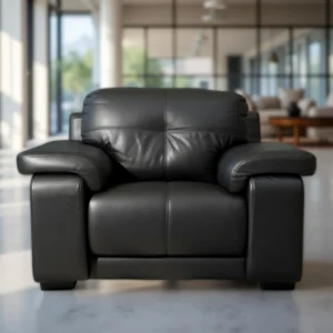 Celista 1 Seater Sofa in Black Leatherette by Vassio – Made in India, Stylish, and Comfortable Seating