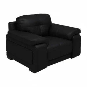 Celista 1 Seater Sofa in Black Leatherette by Vassio – Made in India, Stylish, and Comfortable Seating
