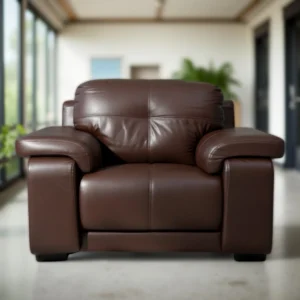 Celista 1 Seater Sofa in Brown Leatherette by Vassio – Made in India, Stylish, and Comfortable Seating