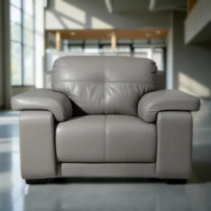 Celista 1 Seater Sofa in Grey Leatherette by Vassio – Stylish, Modern, and Comfortable Seating