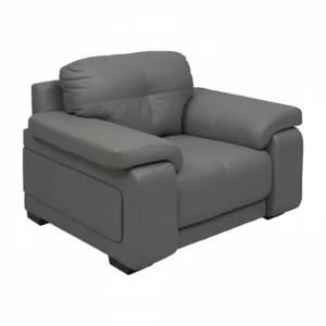 Celista 1 Seater Sofa in Grey Leatherette by Vassio – Stylish, Modern, and Comfortable Seating