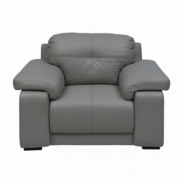 Celista 1 Seater Sofa in Grey Leatherette by Vassio – Stylish, Modern, and Comfortable Seating