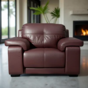 Celista 1 Seater Sofa in Maroon Leatherette by Vassio – Premium, Stylish, and Comfortable Seating