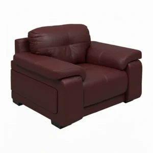 Celista 1 Seater Sofa in Maroon Leatherette by Vassio – Premium, Stylish, and Comfortable Seating