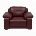 Celista 1 Seater Sofa in Maroon Leatherette by Vassio – Premium, Stylish, and Comfortable Seating