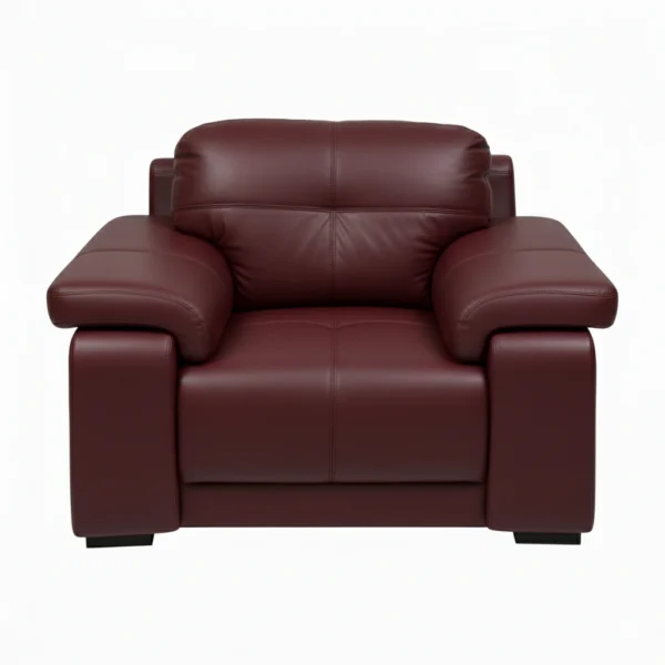 Celista 1 Seater Sofa in Maroon Leatherette by Vassio – Premium, Stylish, and Comfortable Seating