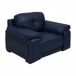 Celista 1 Seater Sofa in Blue Leatherette by Vassio – Stylish, Comfortable, and Modern Seating