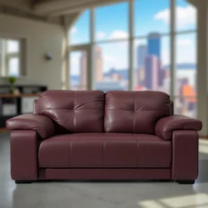 Celista 2 Seater Sofa in Maroon Leatherette by Vassio – Modern Design, Comfortable Seating